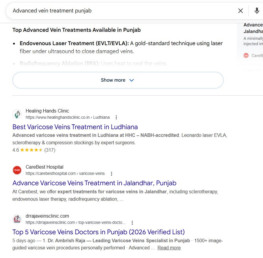 Dr Raja SEO Ranking